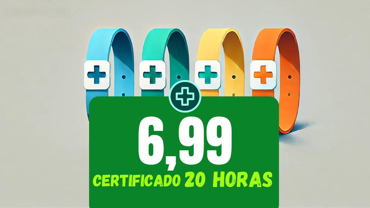 Imagem do curso Classificação de Risco